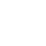 Chiro Overview-icon1