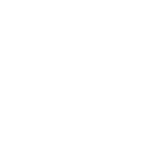 Chiro Overview-icon2