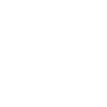 Chiro Overview-icon4