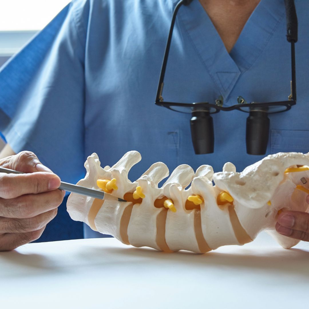 Person in scrubs pointing at model of a spine